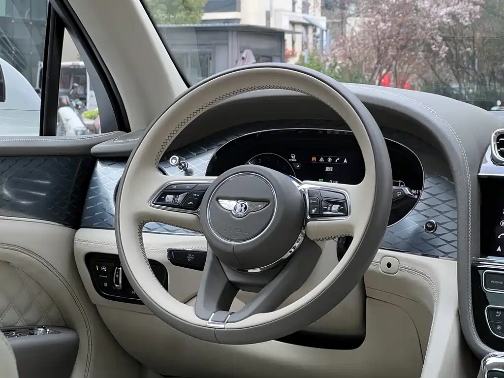 BENTLEY TIMYUE PLUG IN HYBRID