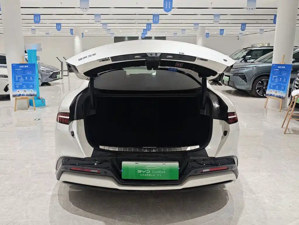 Denza Denza Z9 — миниатюра 15