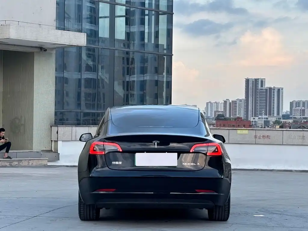 Tesla Model 3 — миниатюра 11