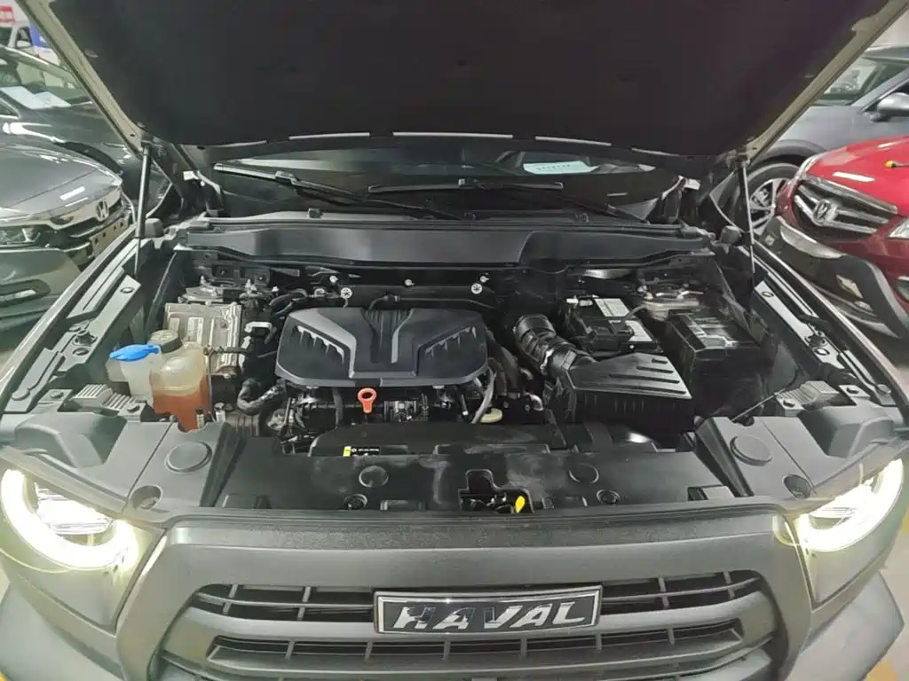 Haval Big Dog — миниатюра 20