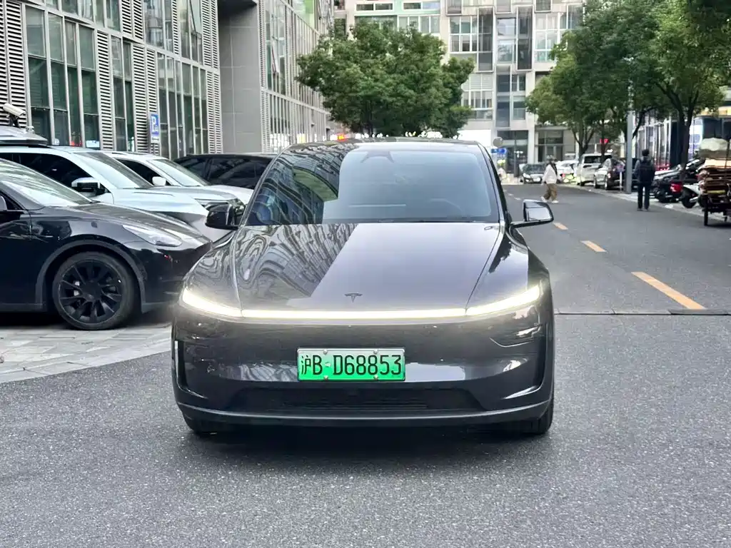 Tesla Model Y — миниатюра 2