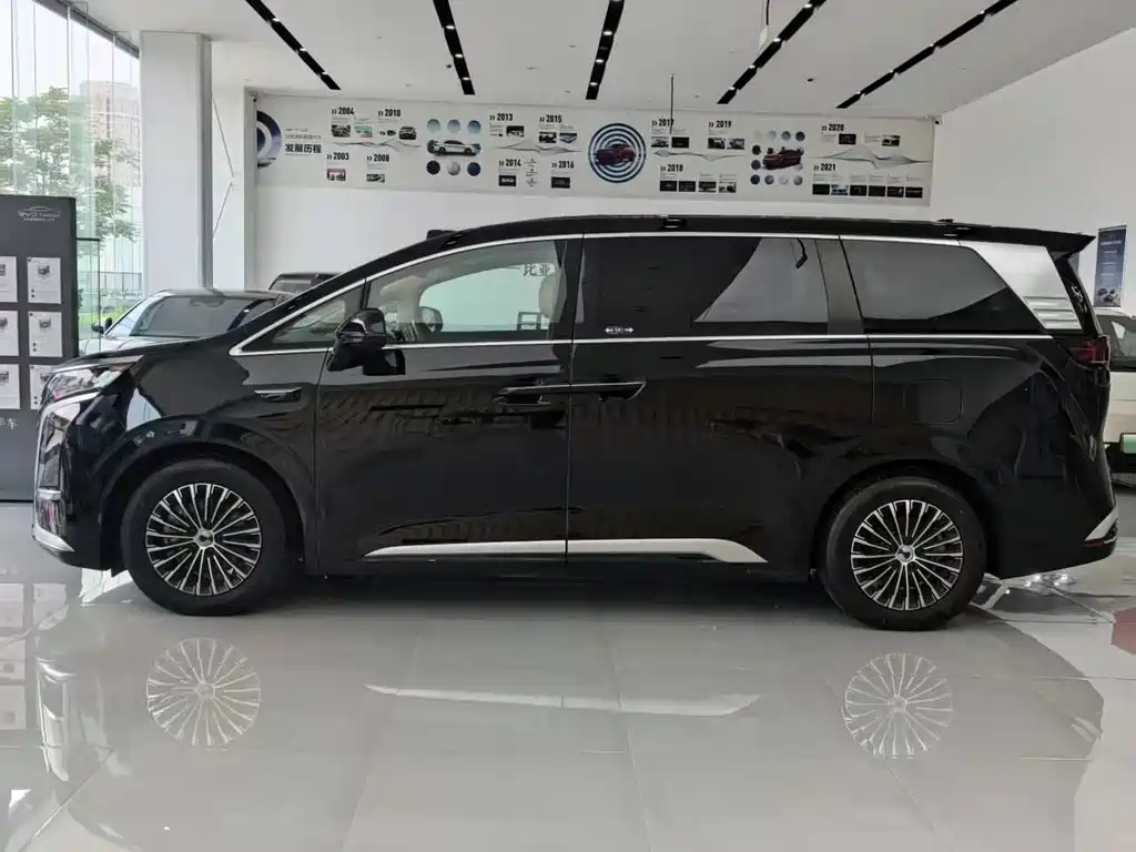 Denza Denza D9 — миниатюра 7
