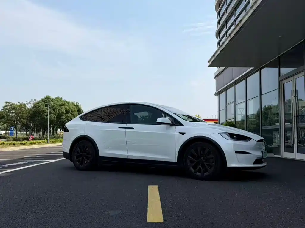 Tesla Model X — миниатюра 3