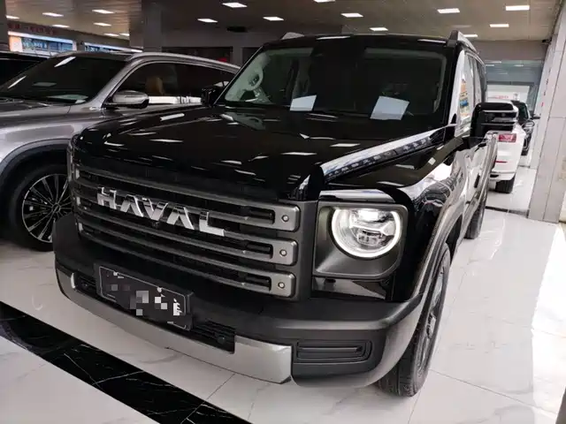 HAVAL  RAPTORS NEW ENERGY 2024