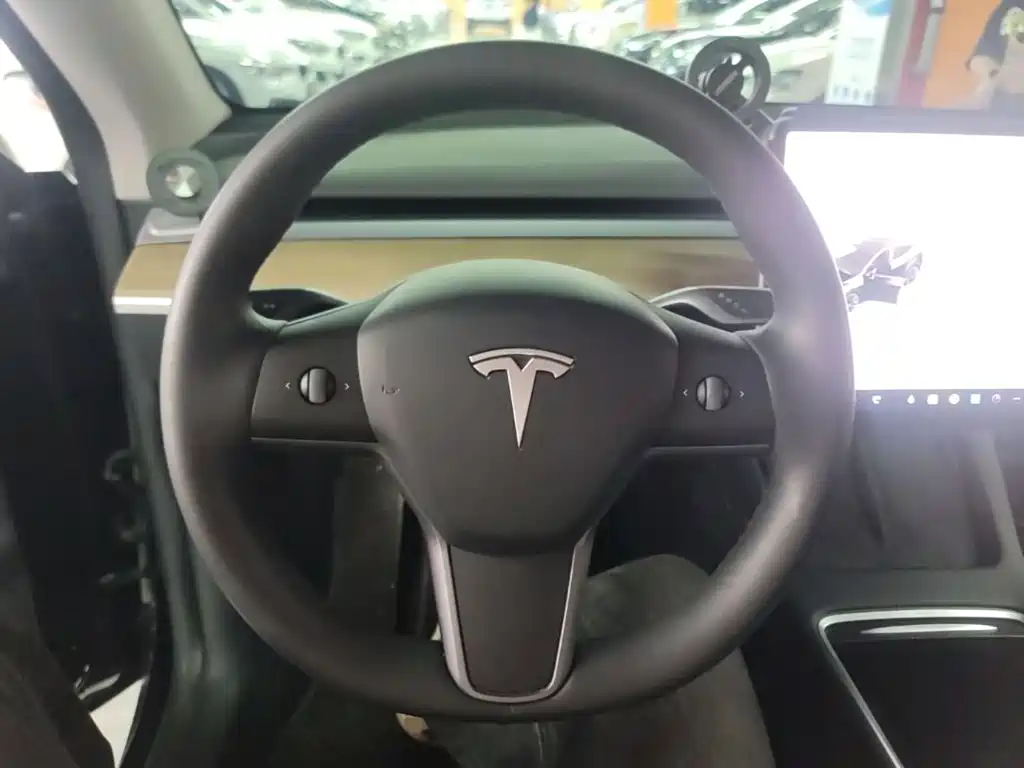 Tesla Model Y — миниатюра 11