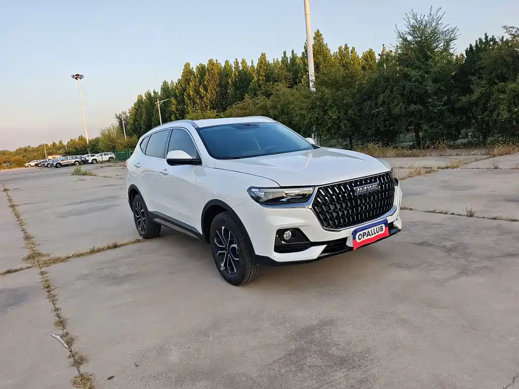 Haval H6 — миниатюра 3