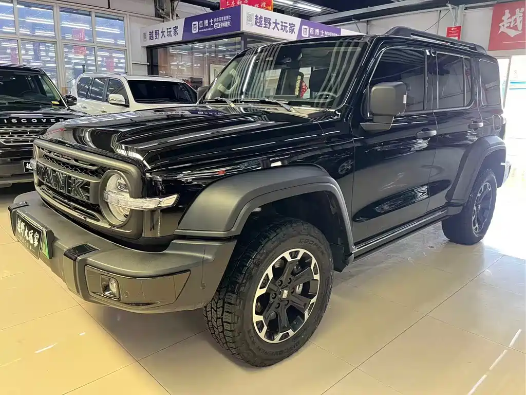 Tank Tank 300L New Energy — миниатюра 3