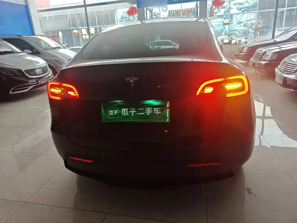 Tesla Model Y — миниатюра 6