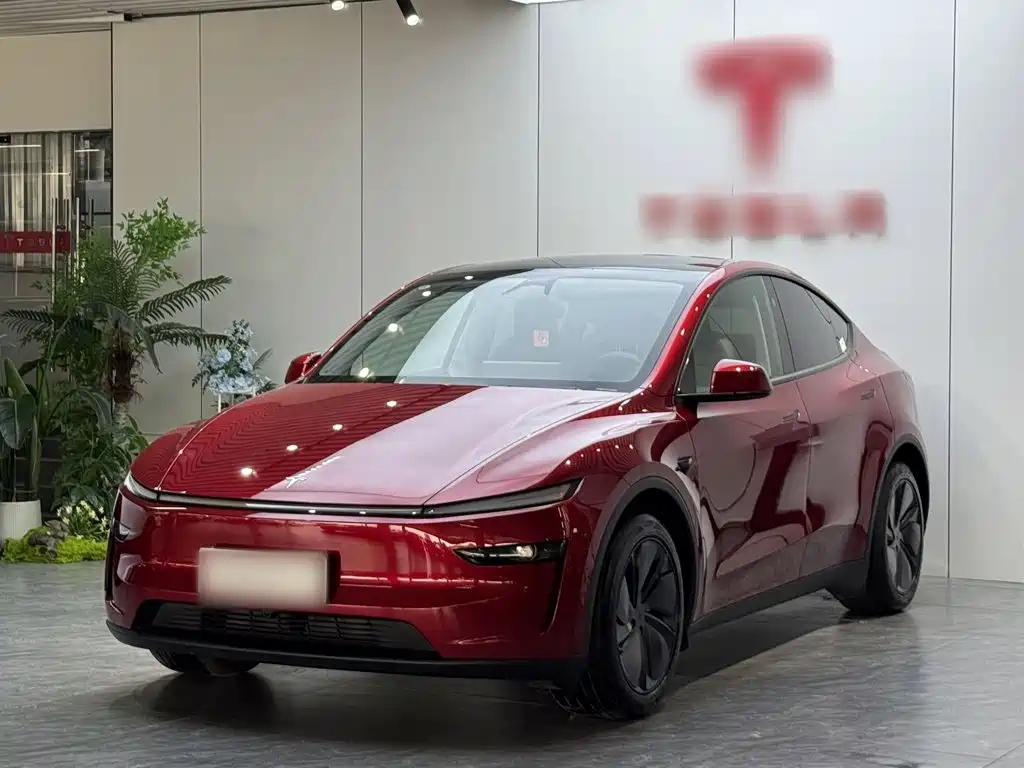Tesla Model Y — миниатюра 2