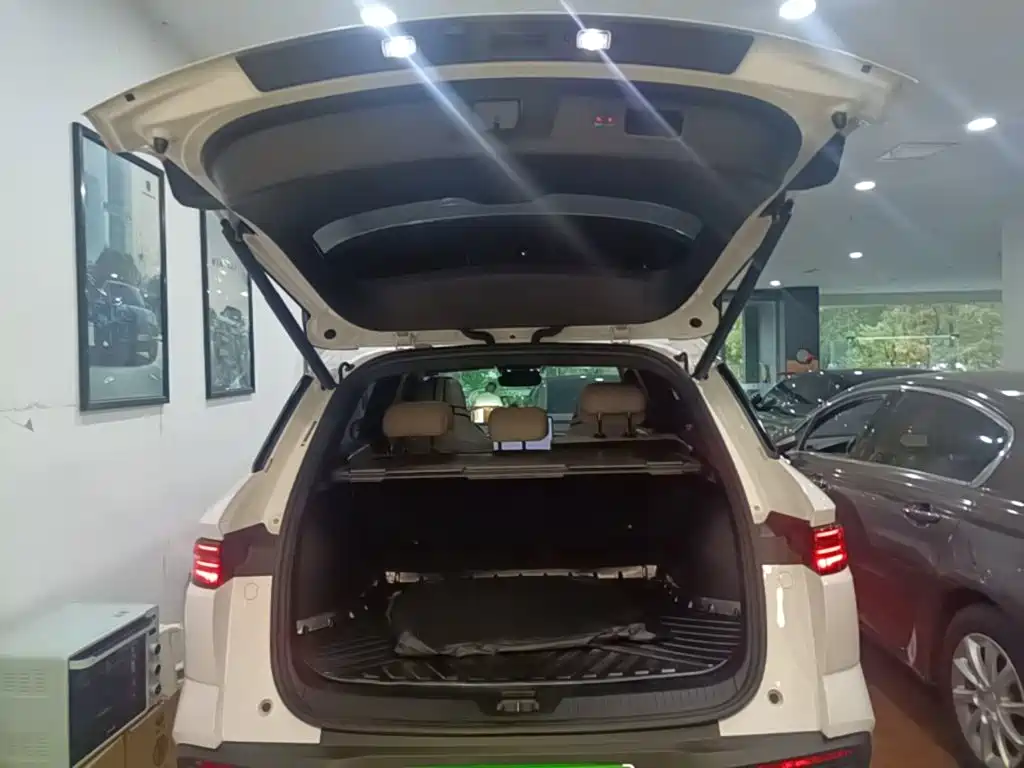 BYD Pro New Energy — миниатюра 19