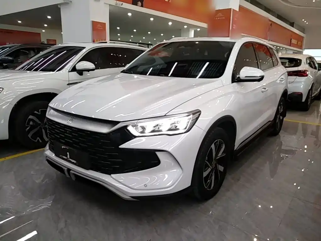 BYD Pro New Energy — миниатюра 2