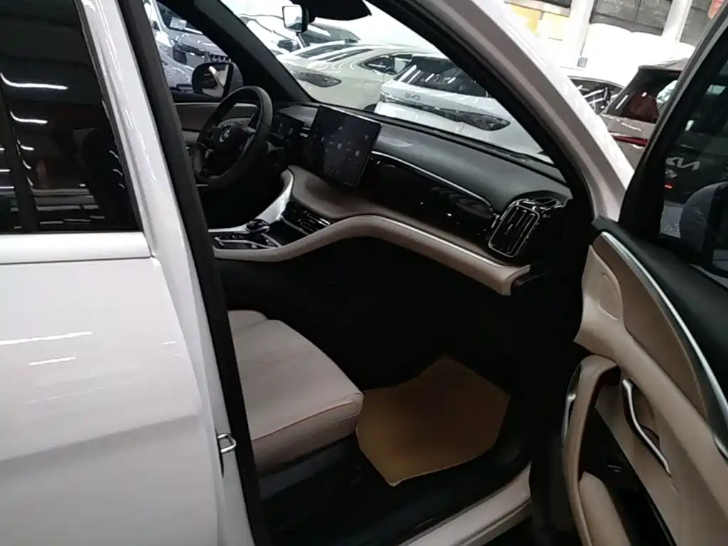 BYD Pro New Energy — миниатюра 25