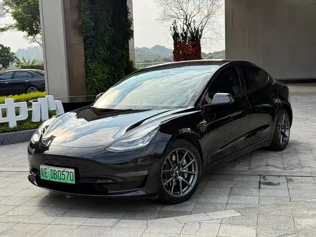 TESLA MODEL 3 2019