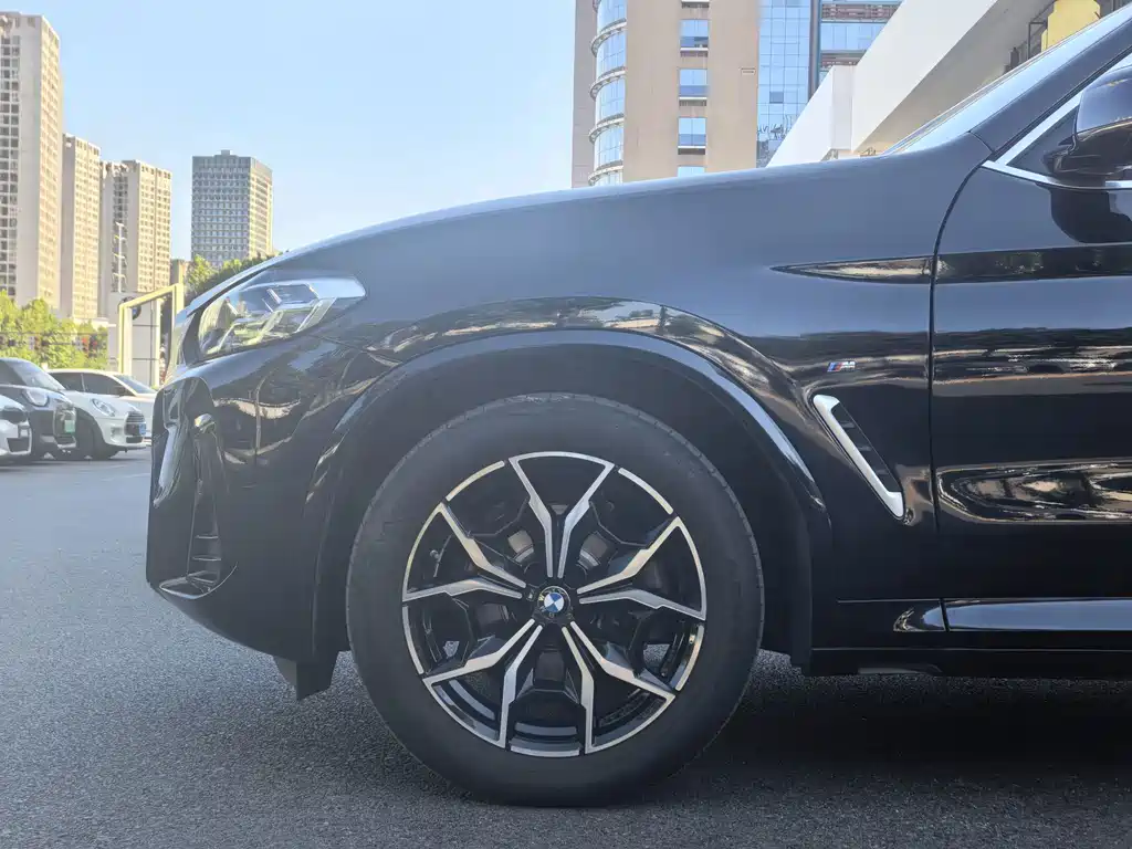 BMW X3 — миниатюра 5