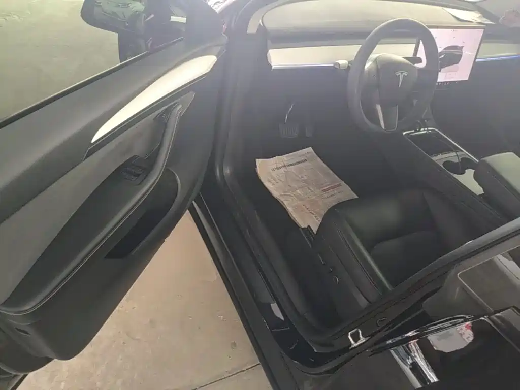 Tesla Model Y — миниатюра 16