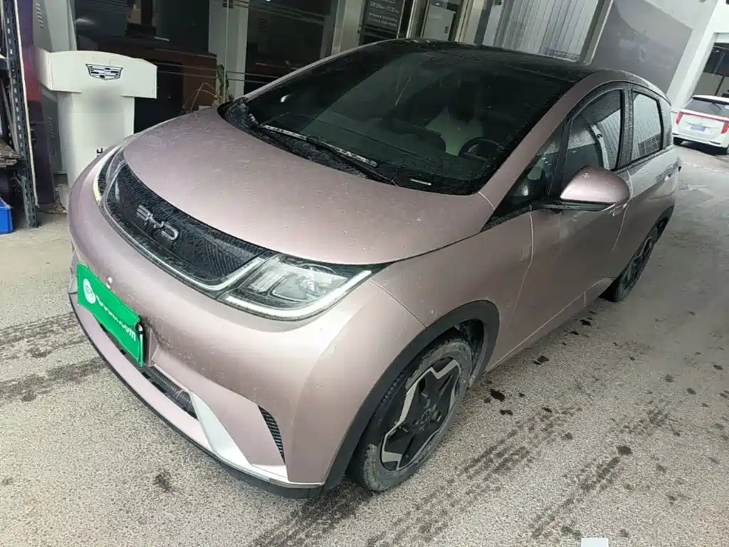 BYD Dolphin 2021 405km Fashion