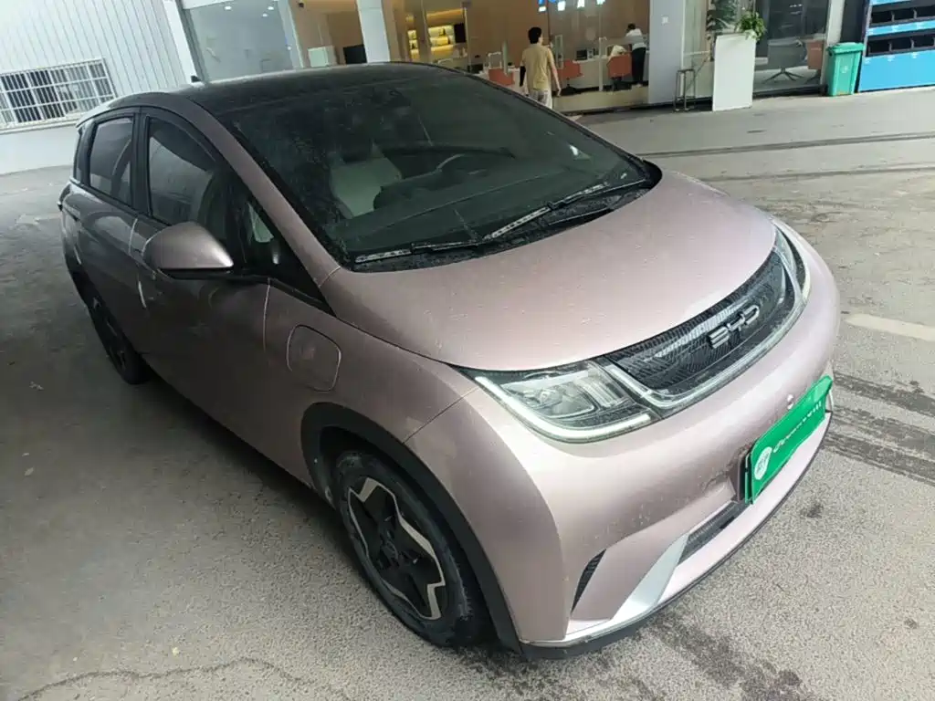 BYD Dolphin 2021 405km Fashion