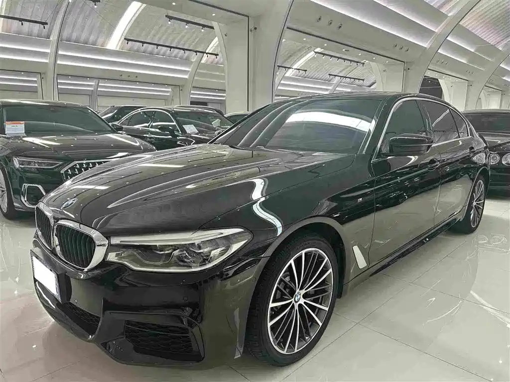 BMW 5 Series 5 2020 530Li Premium M Sport