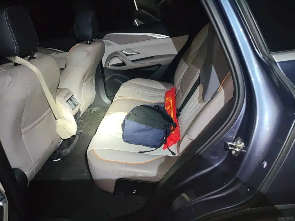 BYD Pro New Energy — миниатюра 15
