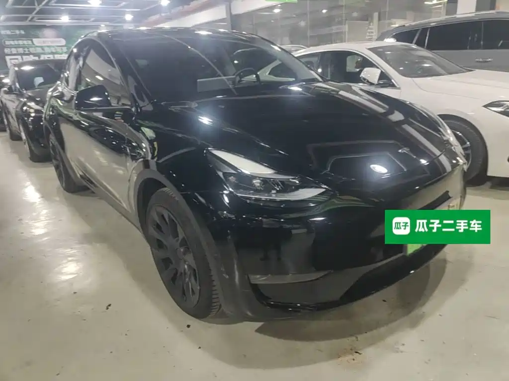 Tesla Model Y — миниатюра 4