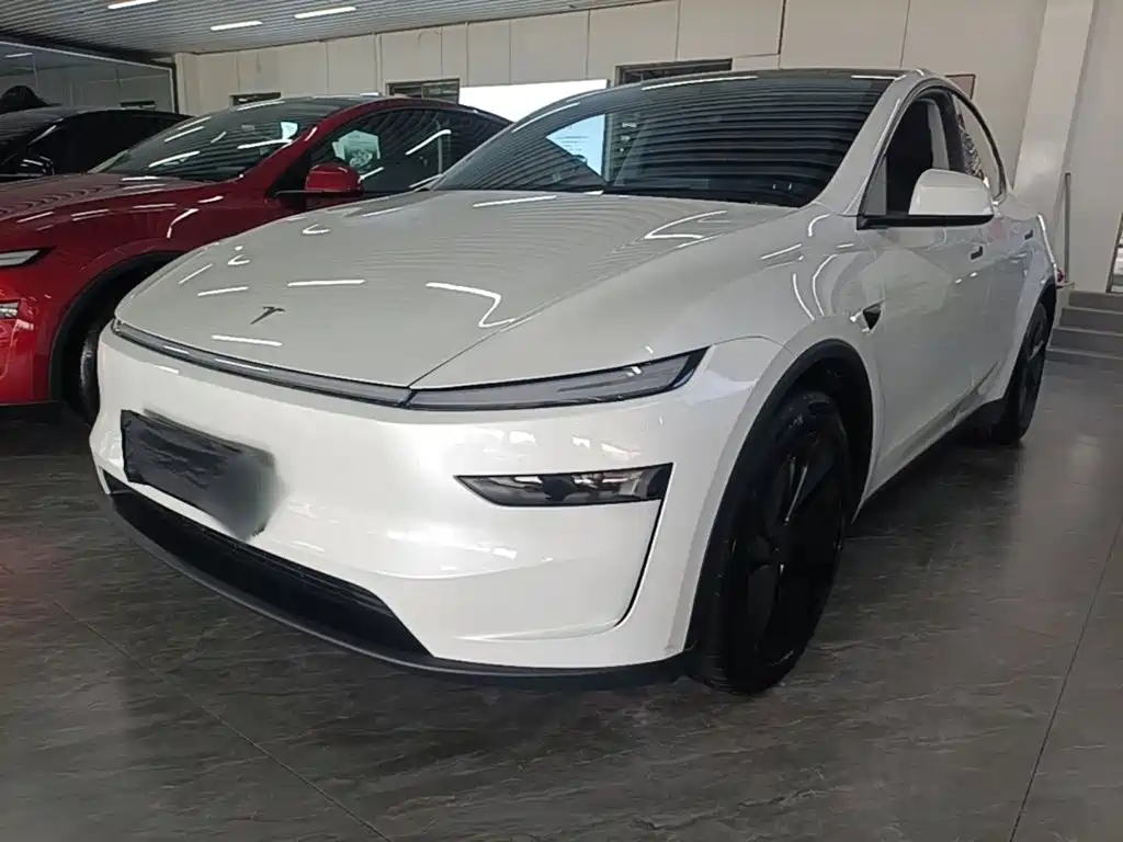 Tesla Model Y — миниатюра 2