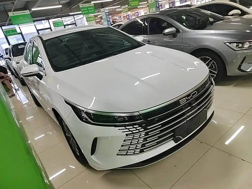 BYD Destroyer 05 — миниатюра 4