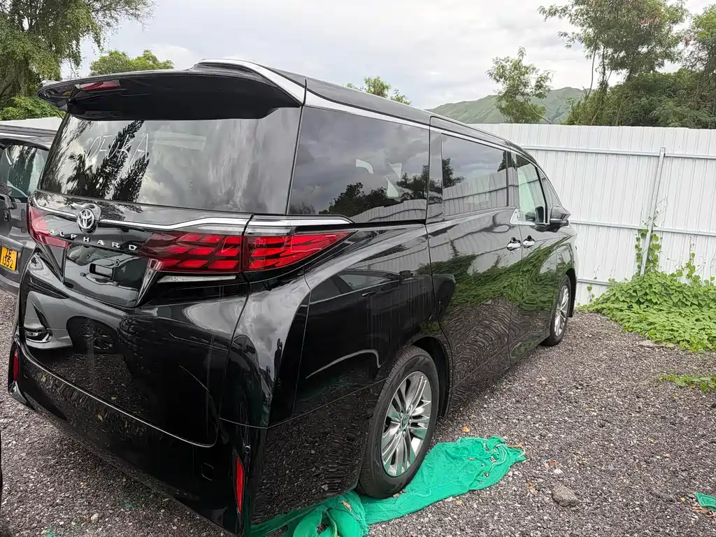Toyota Alphard — миниатюра 8