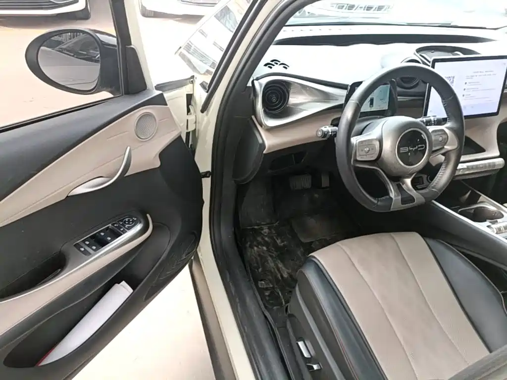 BYD Dolphin — миниатюра 16