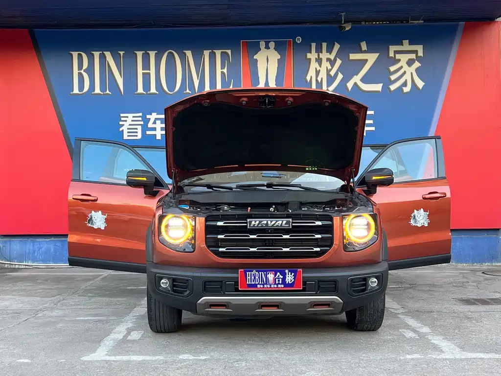 Haval Big Dog — миниатюра 26