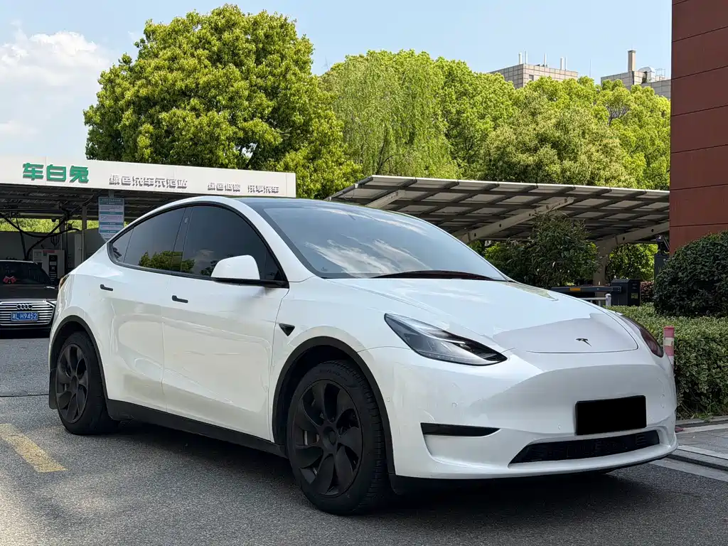 Tesla Model Y — миниатюра 3