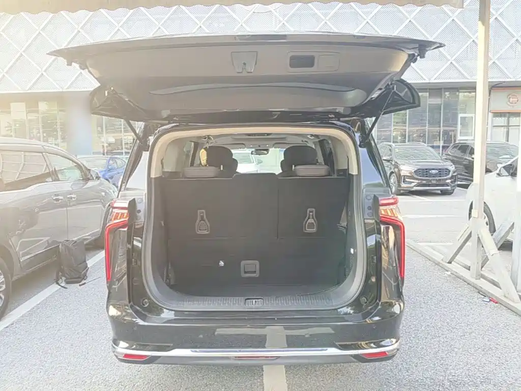 MAXUS Dajia 9 — миниатюра 19