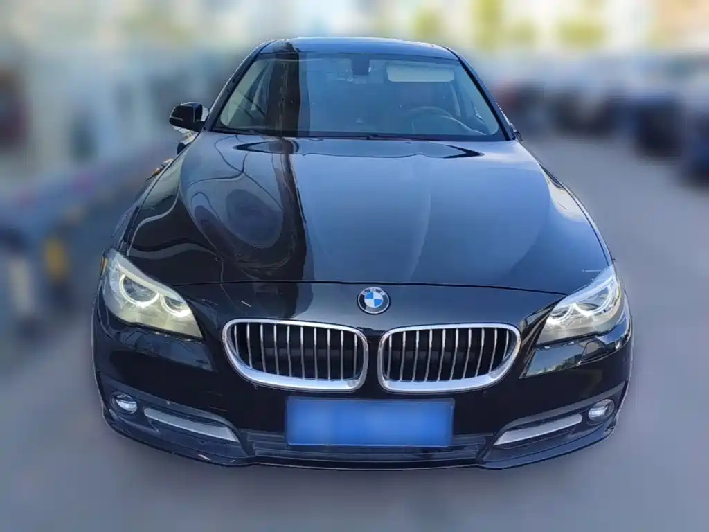 BMW 5 Series — миниатюра 5
