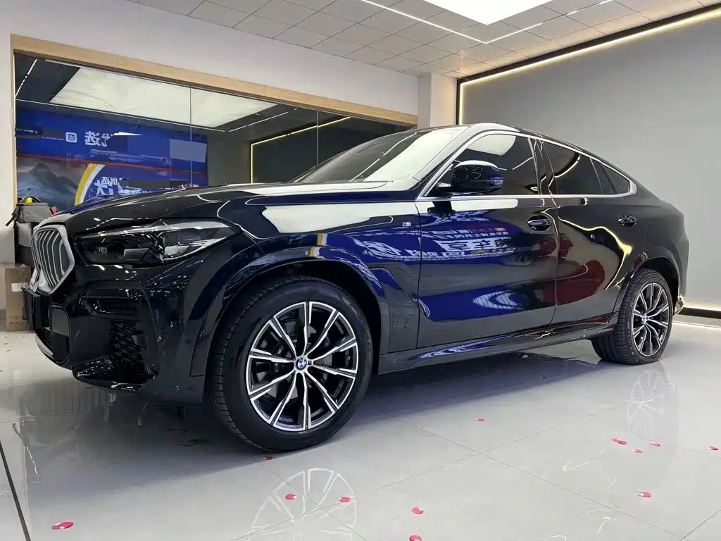 BMW X6 — миниатюра 11