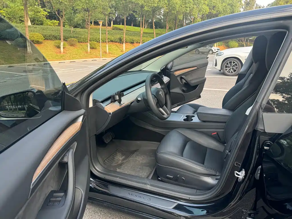 Tesla Model 3 — миниатюра 9