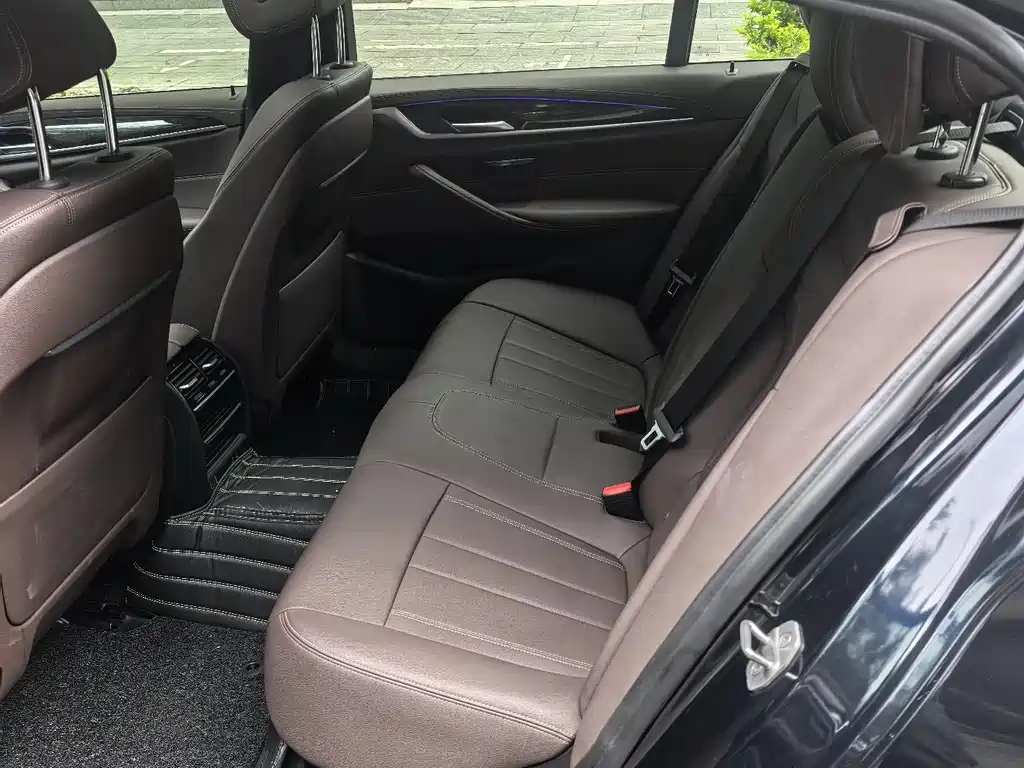 BMW 5 Series 5 2020 525Li M Sport