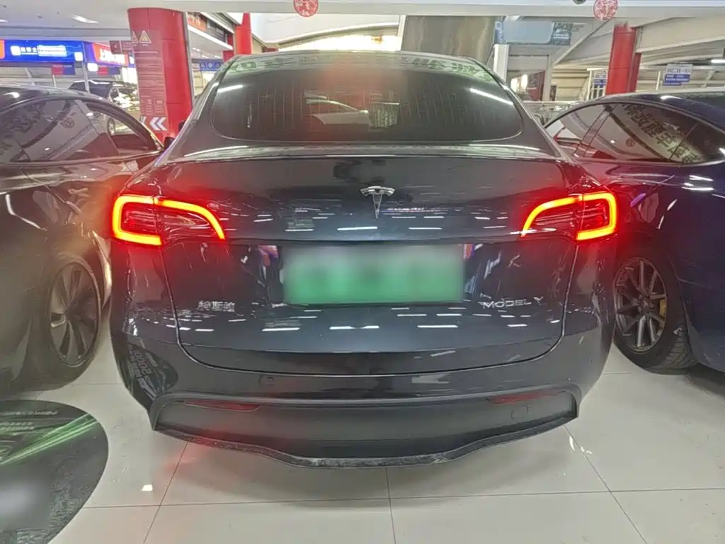 Tesla Model Y — миниатюра 6