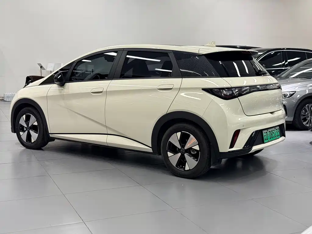 BYD Dolphin — миниатюра 6