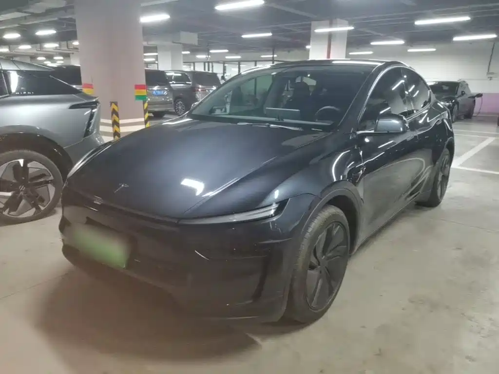 Tesla Model Y — миниатюра 2