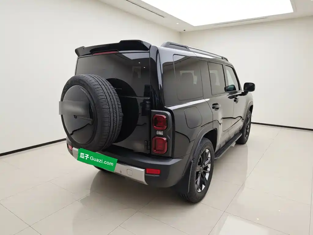 Haval Menglong New Energy — миниатюра 4