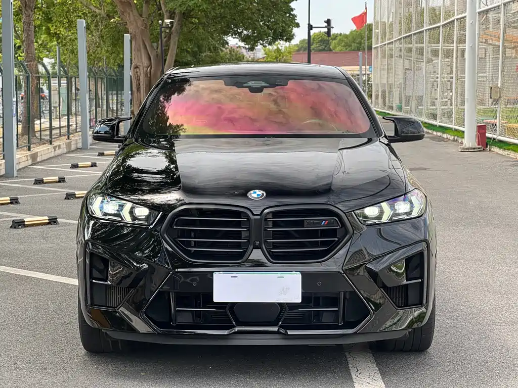 BMW X6 M — миниатюра 2