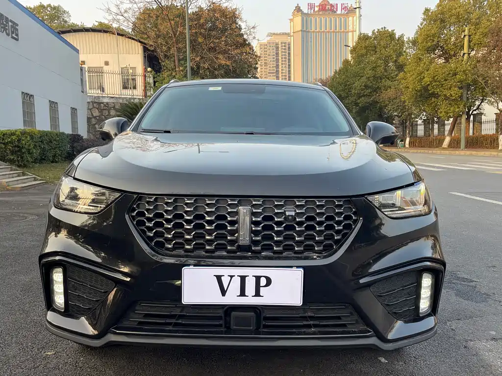 Wey Wey VV5 — миниатюра 2
