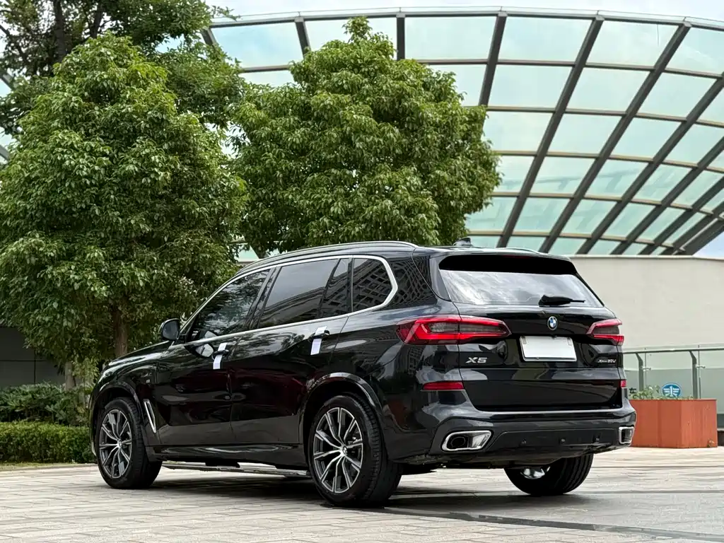 BMW X5 2022 xDrive 30Li M Sport