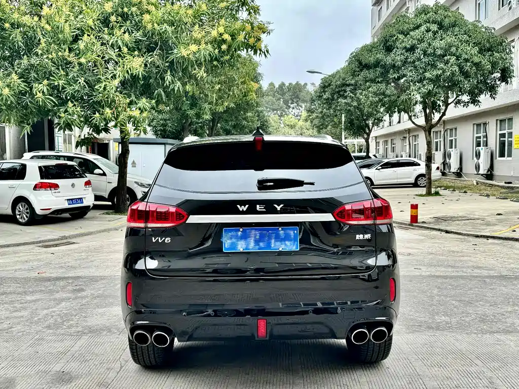 WEI PAI WEI BRAND VV6