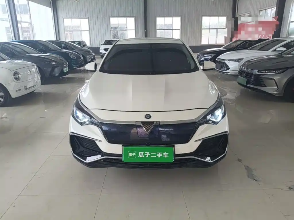 Venucia D60EV