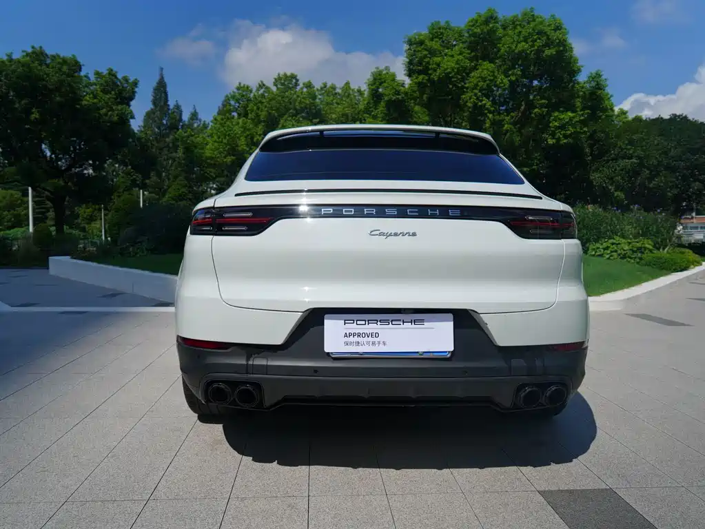 Porsche Cayenne — миниатюра 19