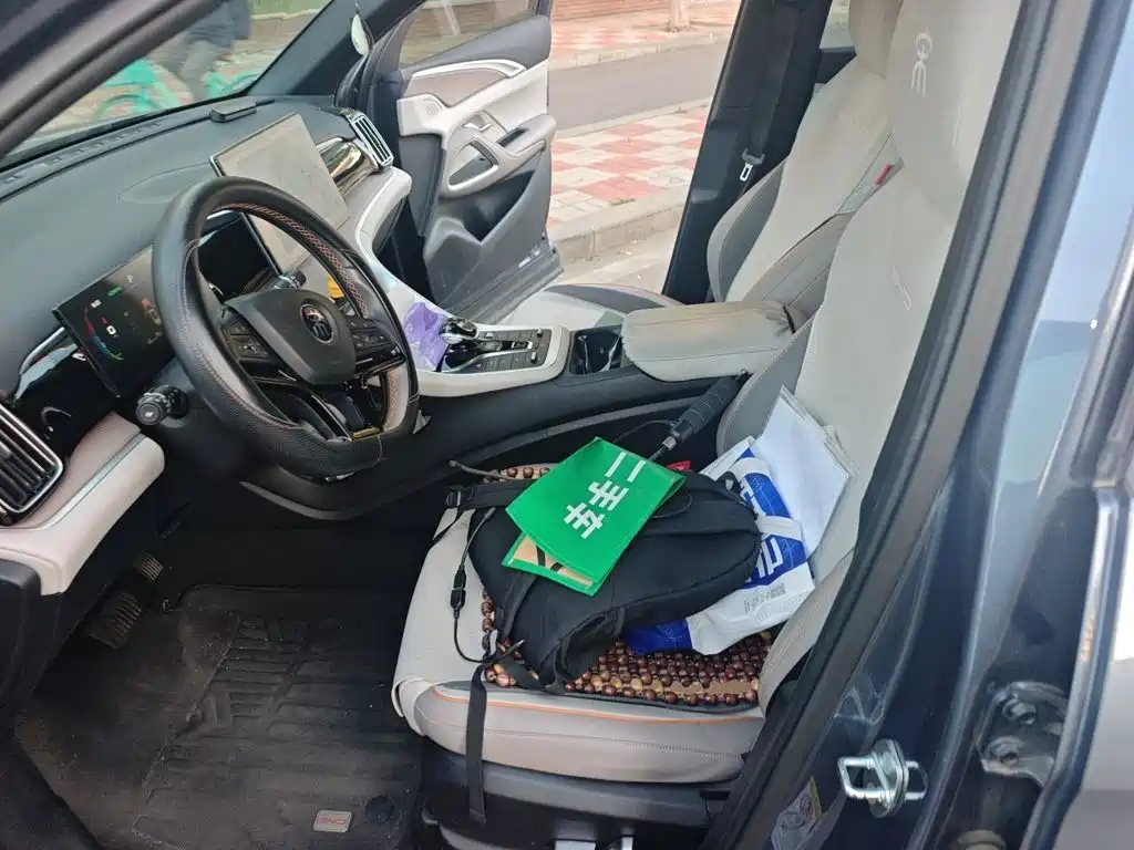 BYD Pro New Energy — миниатюра 16