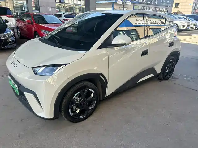 2024 BYD Seagull