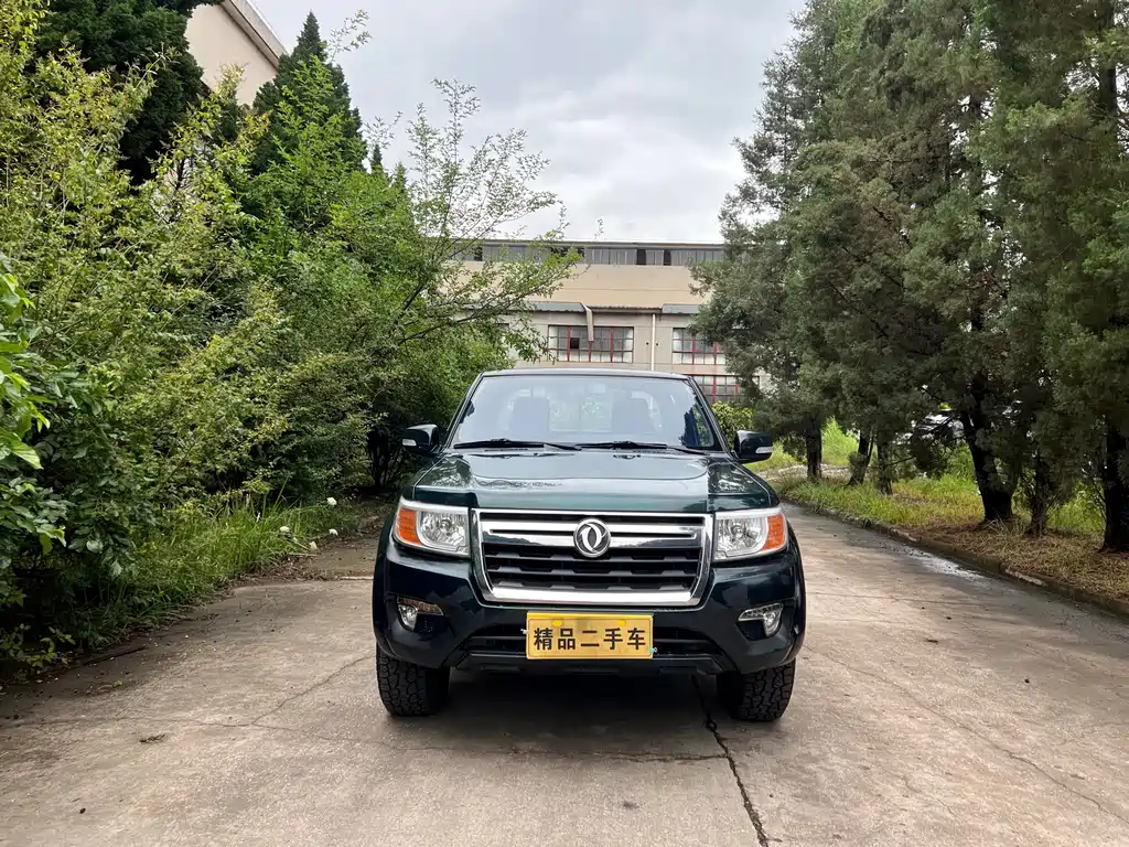DONGFENG RUIQI