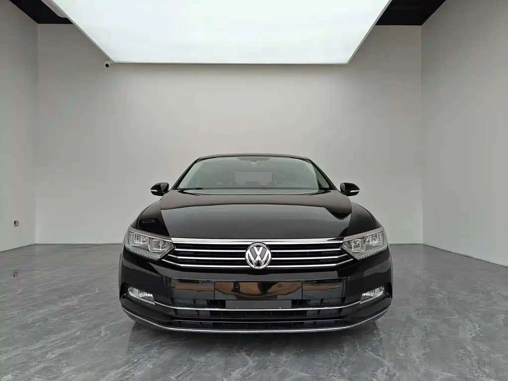 Volkswagen Magotan — миниатюра 2