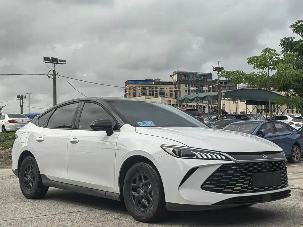 BYD Qin Plus PLUS 2025 DM-i Smart Drive 55KM Lead